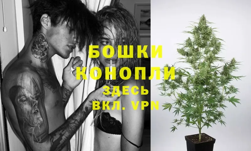 Шишки марихуана White Widow  дарнет шоп  МЕГА ссылки  Тосно 